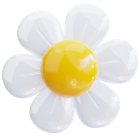 Liquidación Primavera